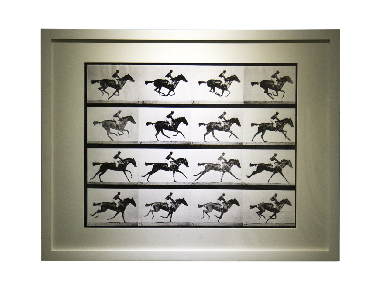 1887年埃德沃德•邁布里奇《奔跑的馬》