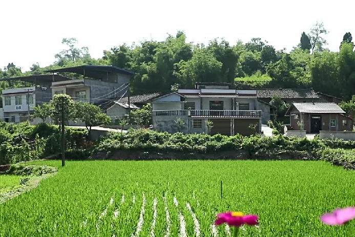 沙石村(四川省內江市東興區椑木鎮下轄行政村)