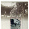 蔡玉書 蔡玉書