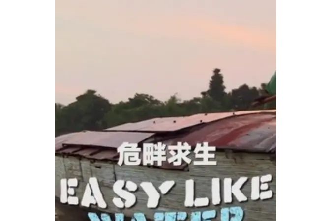 危畔求生 危畔求生