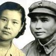 袁國馴 袁國馴