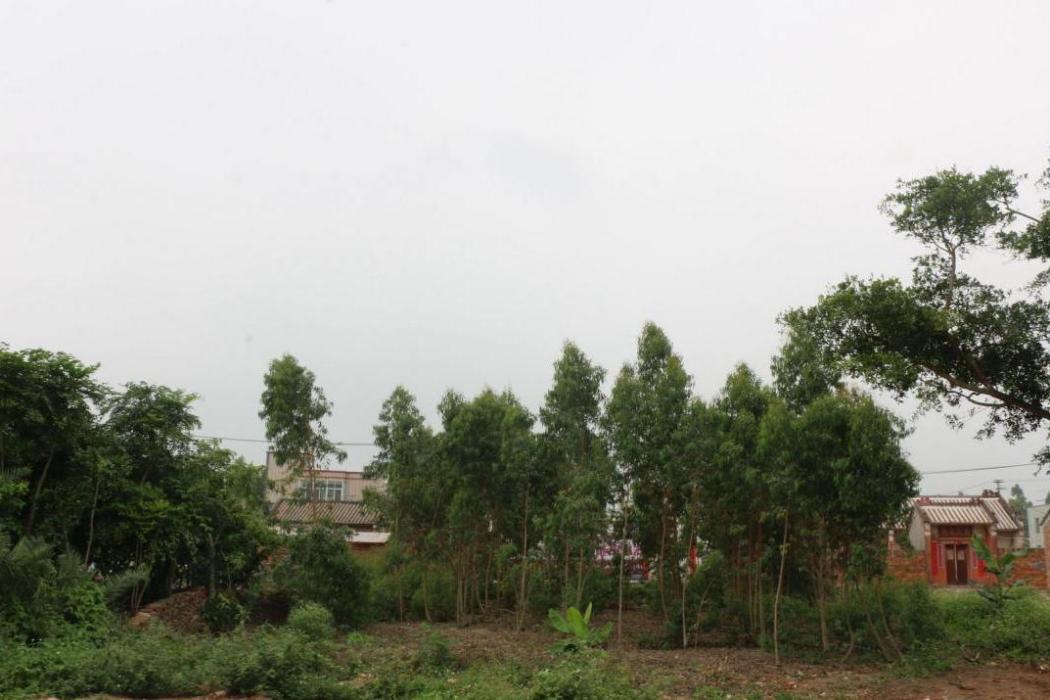 下埠村(廣東省湛江市麻章區湖光鎮舊縣村村委會下轄村) 下埠村(廣東省湛江市麻章區湖光鎮舊縣村村委會下轄村)