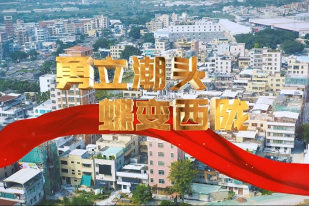 西隴社區(廣東省汕頭市金平區岐山街道下轄社區) 西隴社區(廣東省汕頭市金平區岐山街道下轄社區)