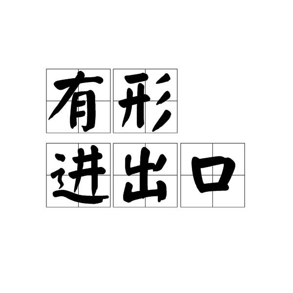 有形進出口 有形進出口