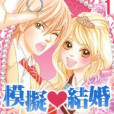 模擬結婚 模擬結婚