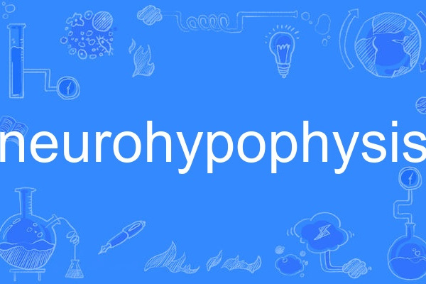 neurohypophysis neurohypophysis
