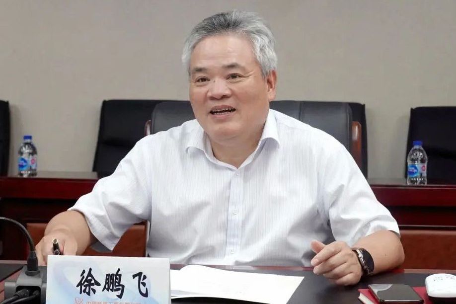徐鵬飛(第十四屆全國政協委員) 徐鵬飛(第十四屆全國政協委員)