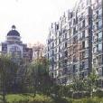 金港國際 金港國際