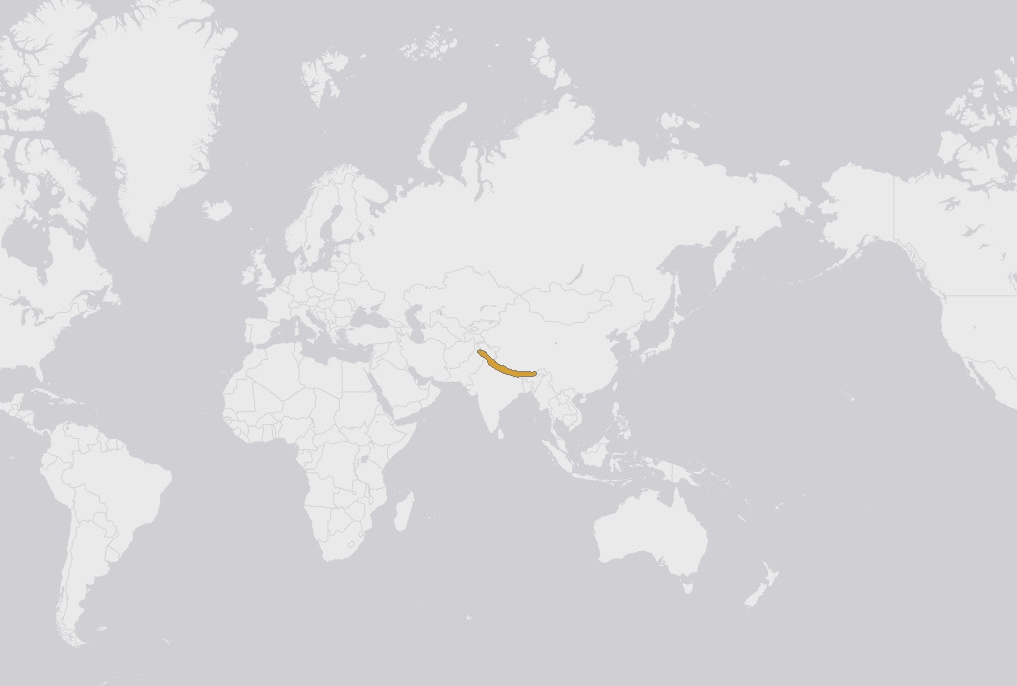 喜瑪拉雅鵟分布圖
