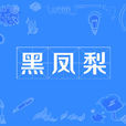 黑鳳梨(網路流行詞) 黑鳳梨(網路流行詞)