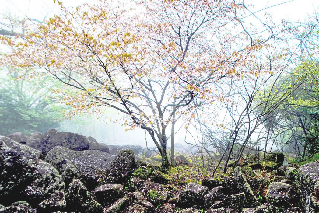 蒼山(浙江天台縣山峰) 蒼山(浙江天台縣山峰)