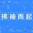 拂袖而起 拂袖而起