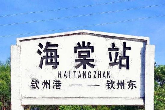 海棠站(廣西欽州市欽南區境內鐵路車站) 海棠站(廣西欽州市欽南區境內鐵路車站)
