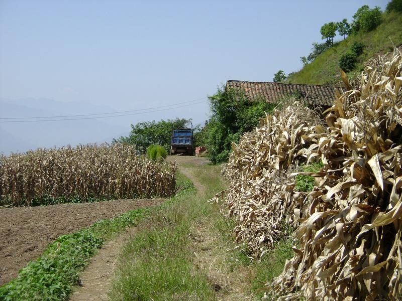 尖山一組 尖山一組