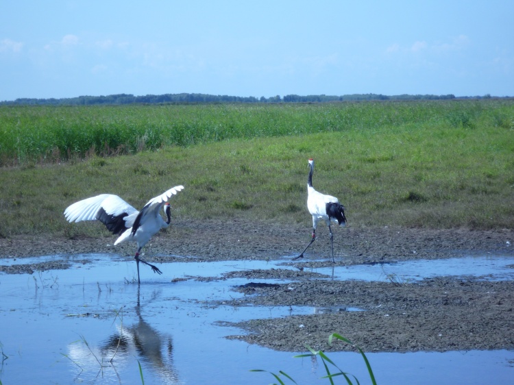 烏裕爾河自然保護區