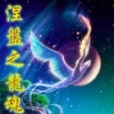 涅槃之龍魂 涅槃之龍魂