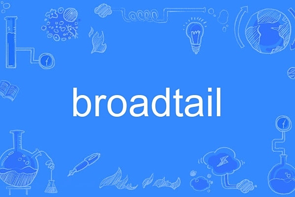 broadtail broadtail