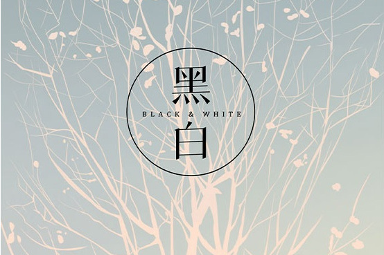 黑白(2021年江蘇文藝出版社出版的圖書) 黑白(2021年江蘇文藝出版社出版的圖書)
