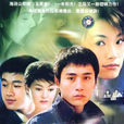 夏天的味道(2004年劉燁、佟大為主演電視劇)