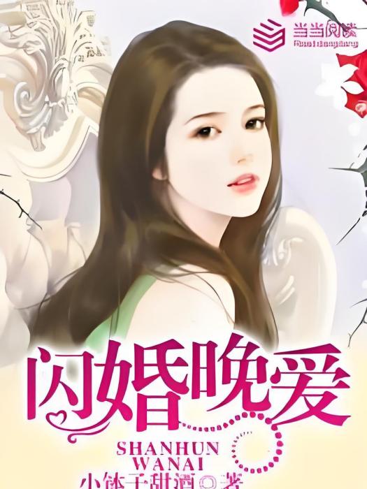 閃婚晚愛 閃婚晚愛