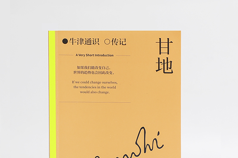 甘地(比庫·帕雷赫創作的2024年中信出版社出版的人物傳記) 甘地(比庫·帕雷赫創作的2024年中信出版社出版的人物傳記)