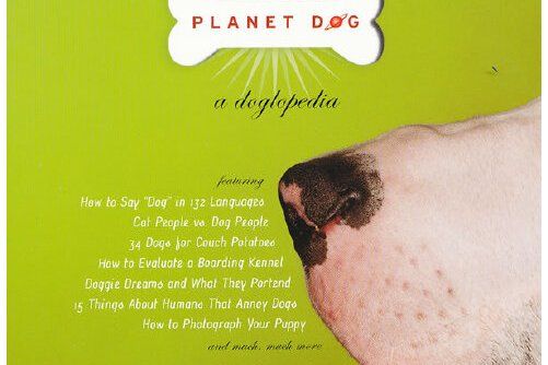 Planet Dog Planet Dog