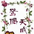 鴛偶天成(梵路創作的古代言情網路小說)