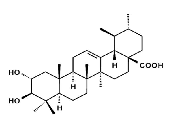 科羅索酸 科羅索酸