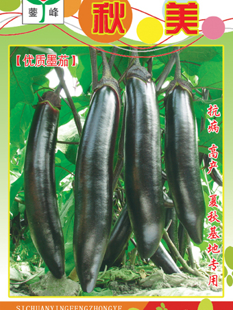 鎣峰秋美