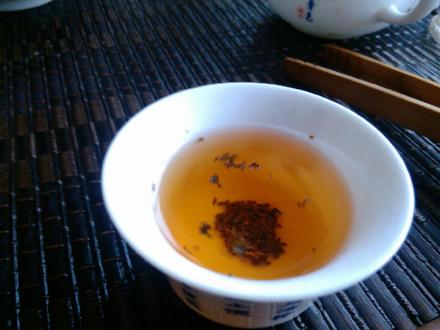 三葉蟲茶
