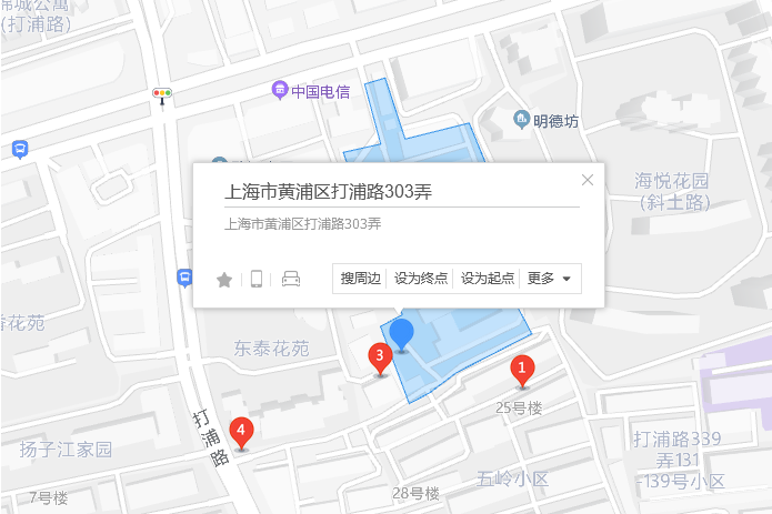 打浦路303弄 打浦路303弄