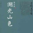 湖光山色(2006年周大新鄉村題材小說)