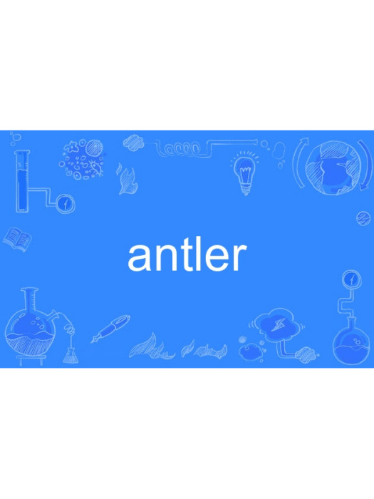 antler antler
