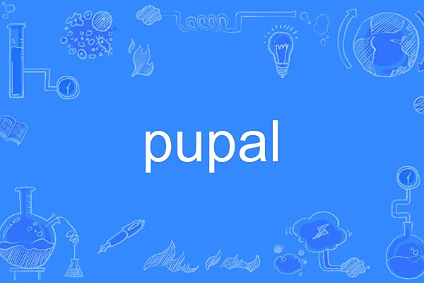pupal