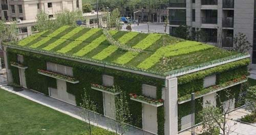 屋頂綠化經典案例