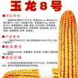 玉龍八號(玉龍8號) 玉龍八號(玉龍8號)