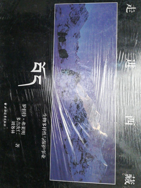 走進西藏(2007年上海遠東出版社出版的圖書) 走進西藏(2007年上海遠東出版社出版的圖書)