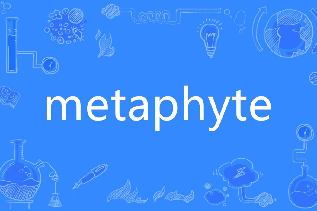 metaphyte metaphyte