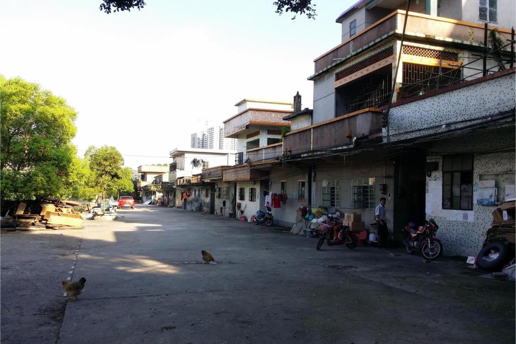 龍塘里 龍塘里