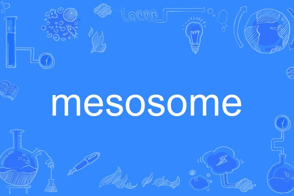 mesosome mesosome