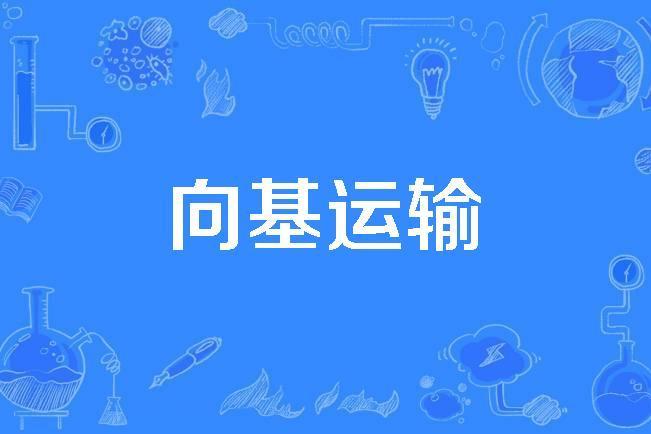 向基運輸