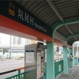 坑尾村站 坑尾村站