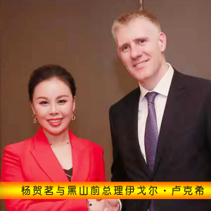 楊賀茗(實戰型商業演說家、中國式女總裁MBA商學堂創始人)