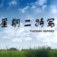 星期二特寫 星期二特寫
