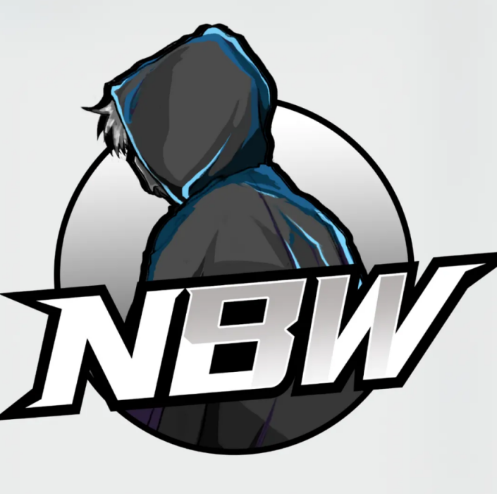 NBW電子競技俱樂部(NBW戰隊) NBW電子競技俱樂部(NBW戰隊)