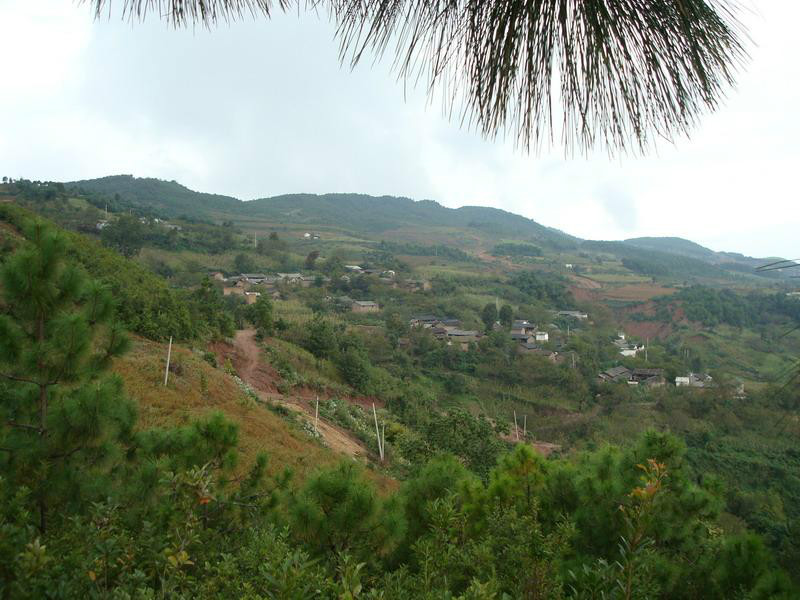 博刀山自然村