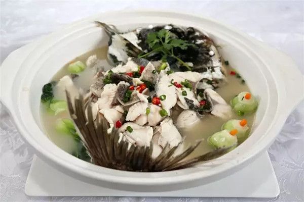 松濤鱅魚 松濤鱅魚