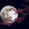 花月吟(唐伯虎七言律詩) 花月吟(唐伯虎七言律詩)