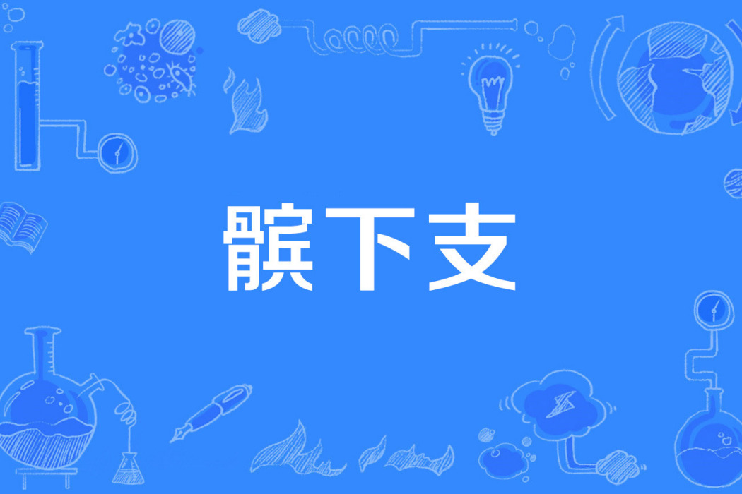 髕下支 髕下支