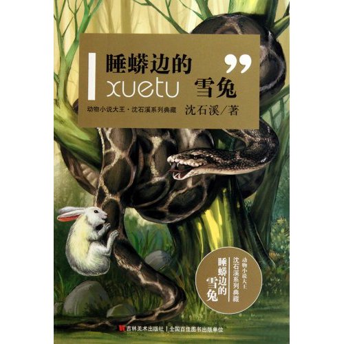 動物小說大王沈石溪系列典藏-睡蟒邊的雪兔